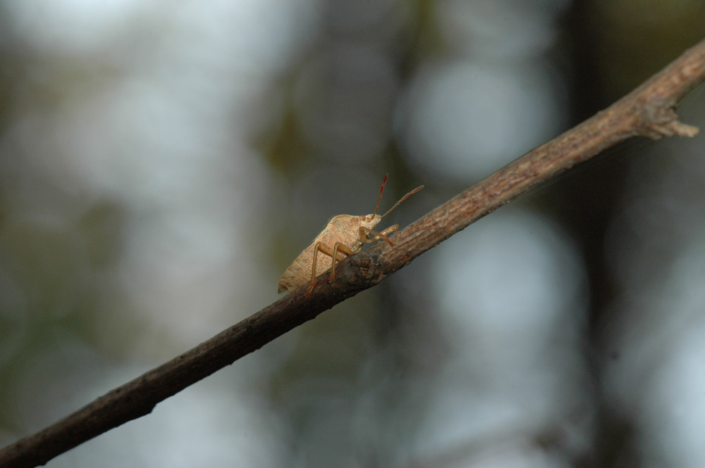non conosco il suo nome...