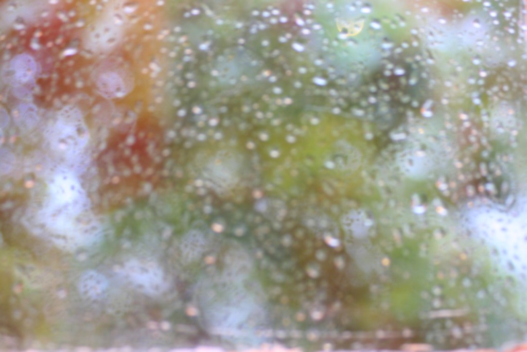 Carnevale in autunno