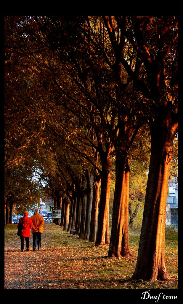 Une balade � travers l'automne