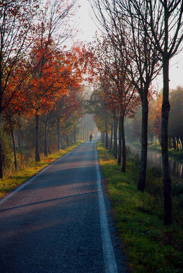 strada d'autonno