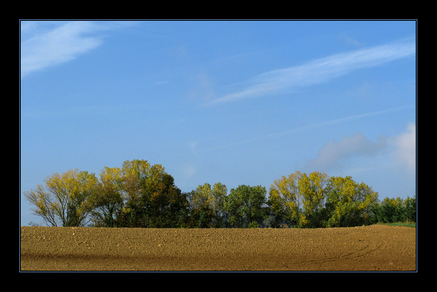 Angolo di natura ottobrina
