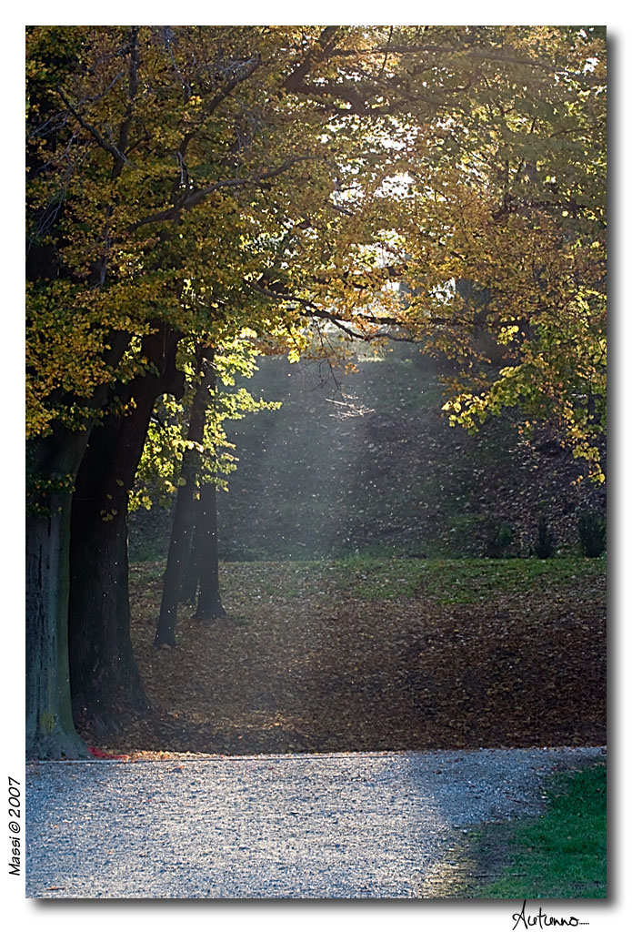 Autunno....