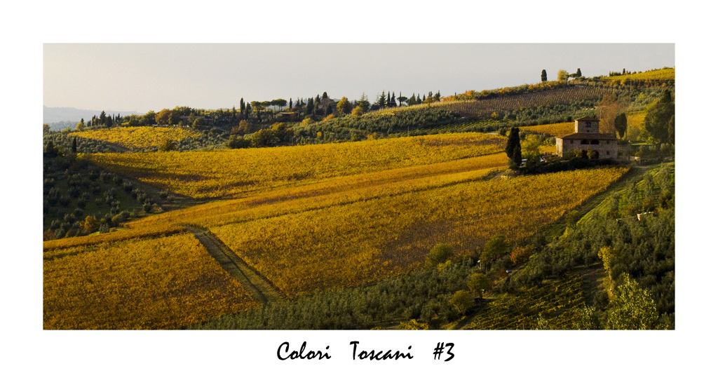 Colori Toscani #3