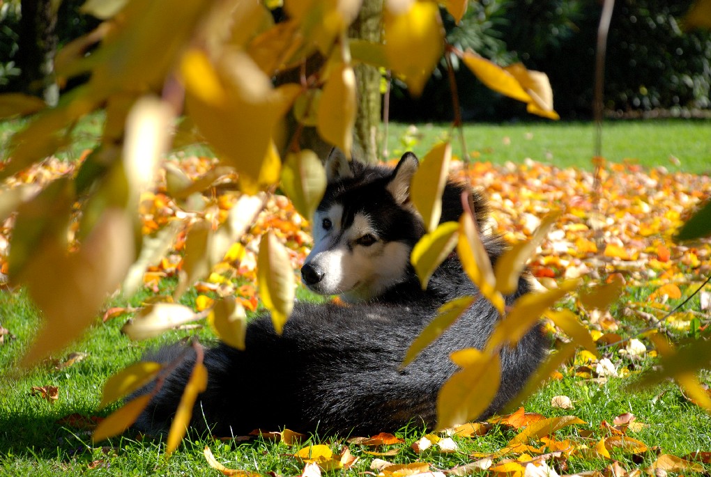 aspettando l'inverno