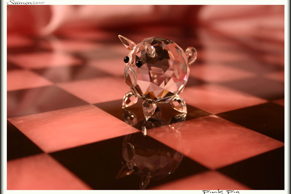 Pink Pig