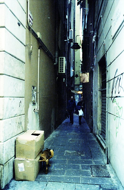 Genova, nel carrugio