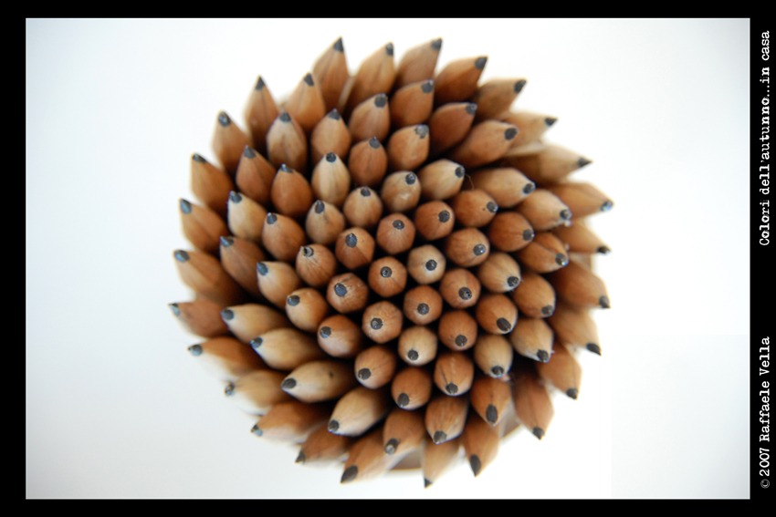 Colori dell'autunno...in casa