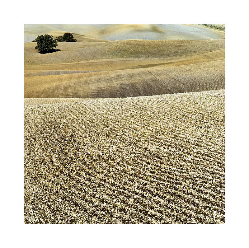 THE COLORS OF THE EARTH (4) VAL D'ORCIA)