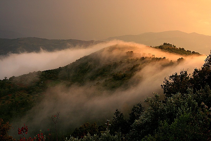 Nebbia agli irti colli.