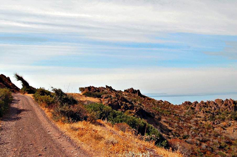 scrutando l'orizzonte in cerca dell'isola di SanPietro