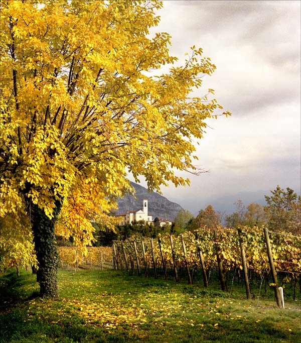 Autunno in Franciacorta