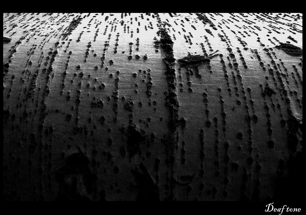 Autumn pt.10 [The natural carillon]