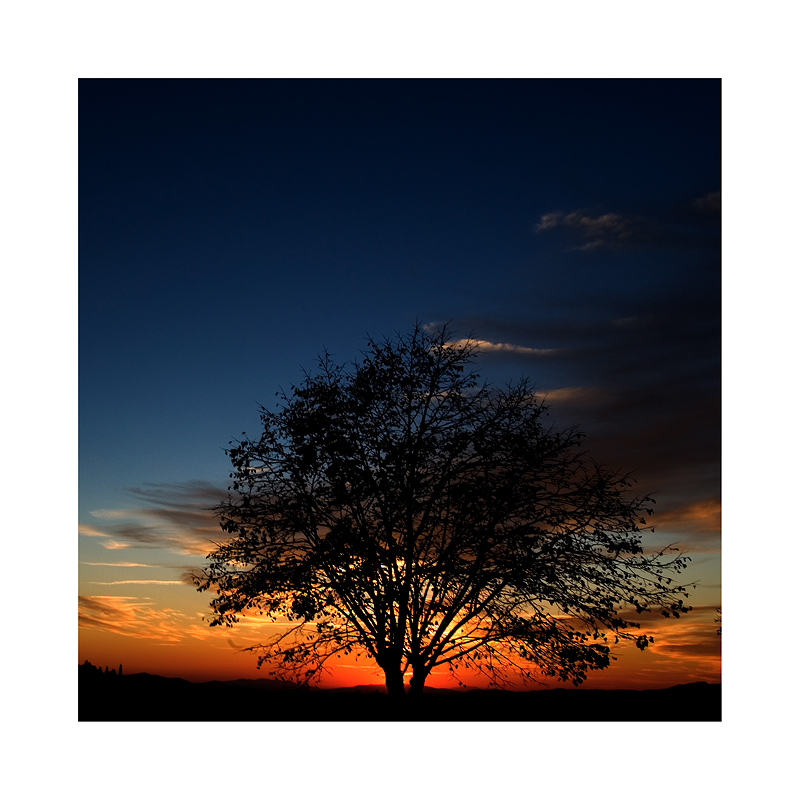 THE COLOURS OF THE EARTH 10