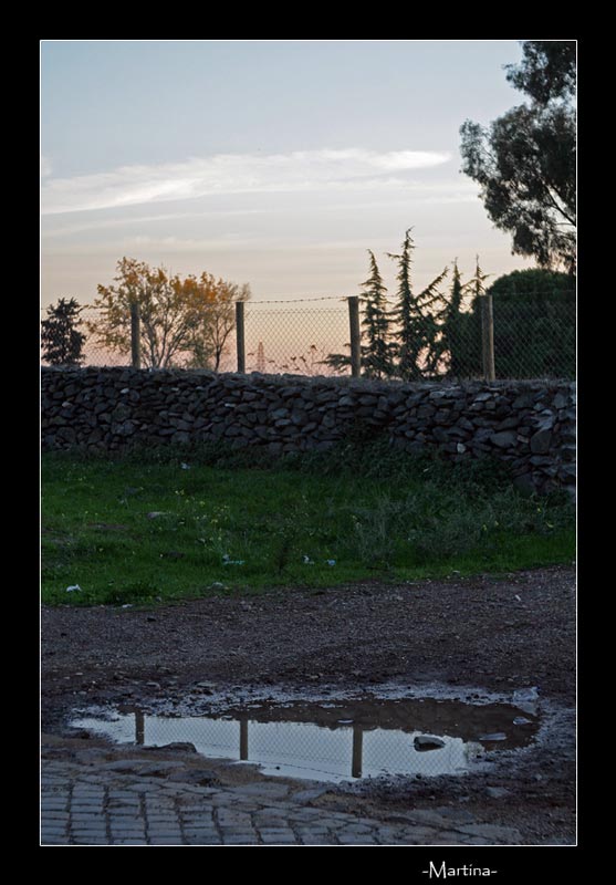 Foto che ad Ami non piace