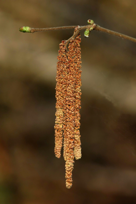 il vecchio e il nuovo