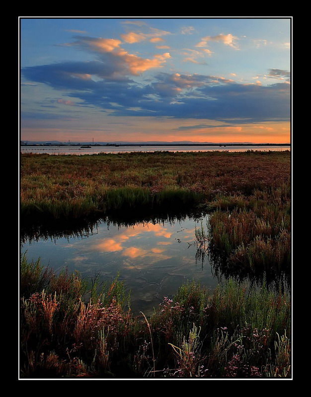Un p� di cielo in terra...