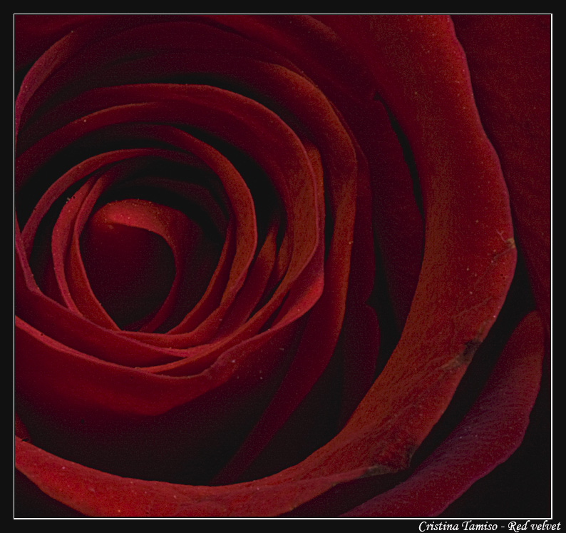 Red Velvet