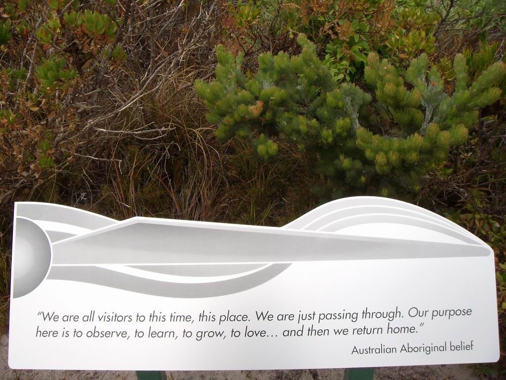 ...mi fermai a pensare.....