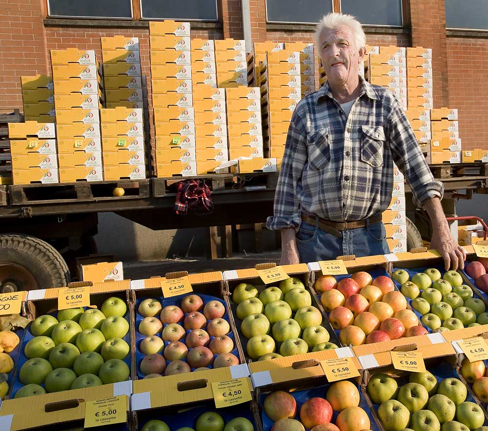 cavour- tutto mele -