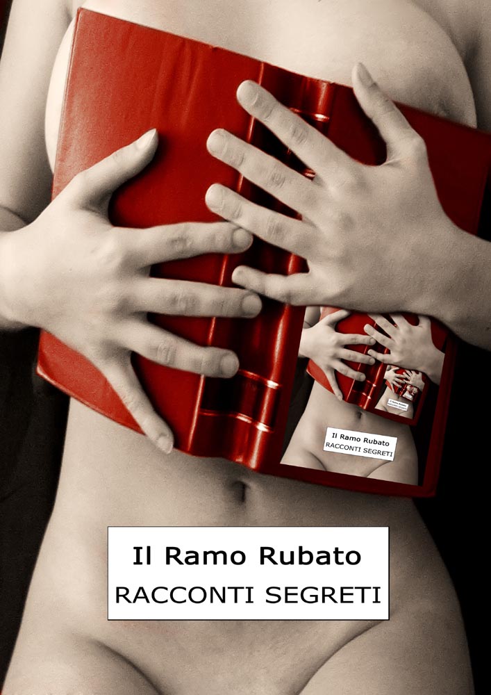 Copertina del libro