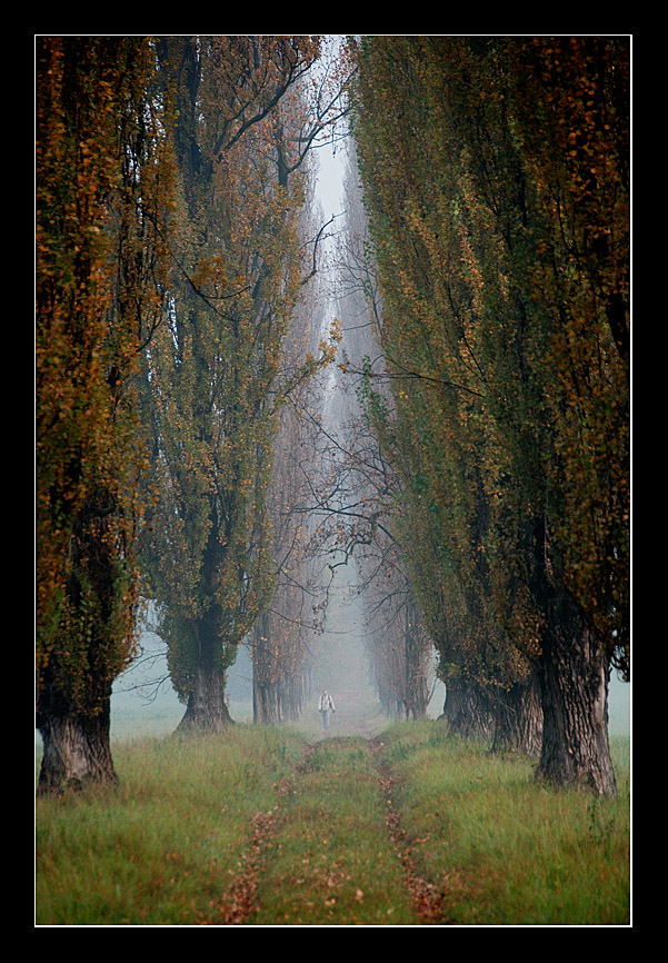 passeggiata mattutina