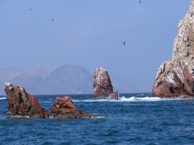 Viaggio Per�