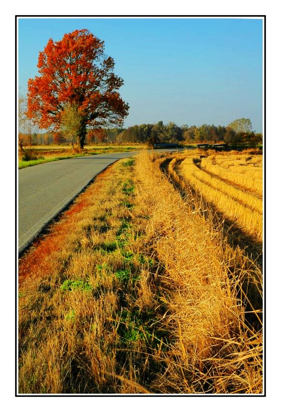 Luci e colori d'autunno