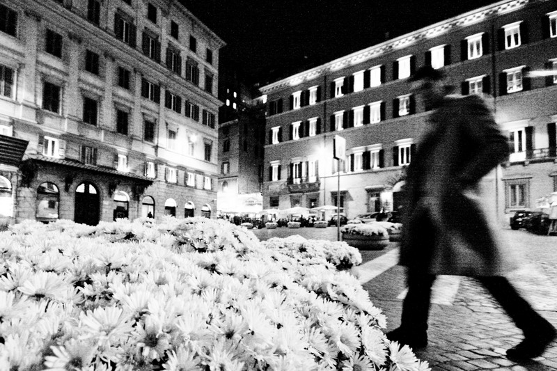 Malinconica solitudine