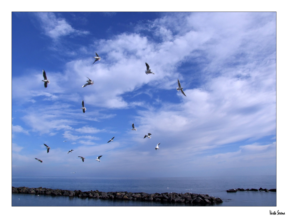 Non � tardi...mai.