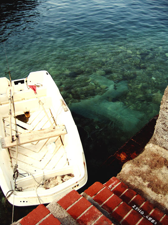 Insolito Traghettatore