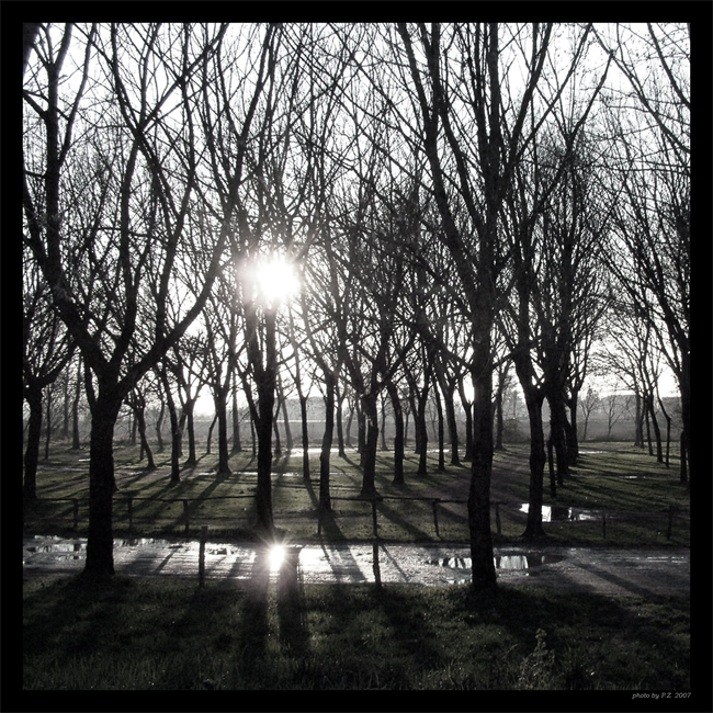 ... (dedicata a Belgarath)