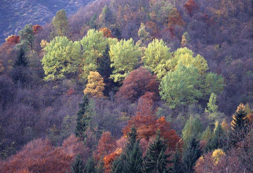 COLORI DELLA VALSESIA
