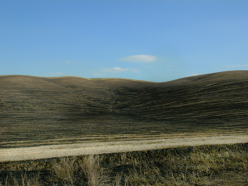 terra bruciata01