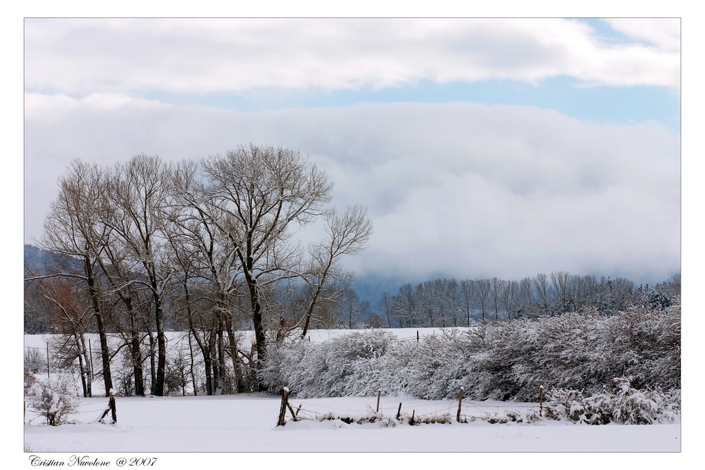 Snow Landscape 2 - 17 novembre