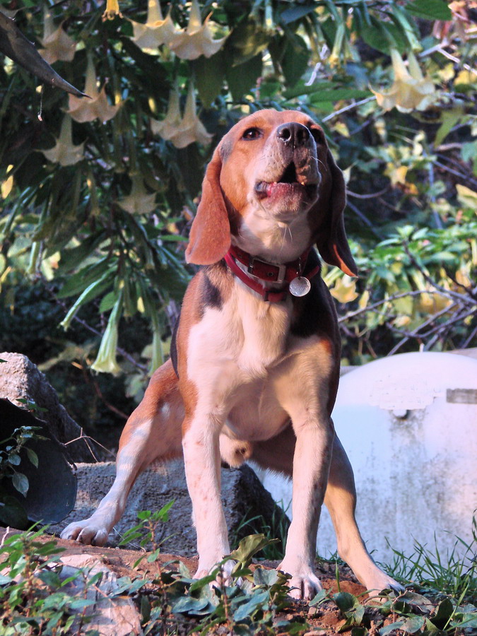 e questa � casa mia