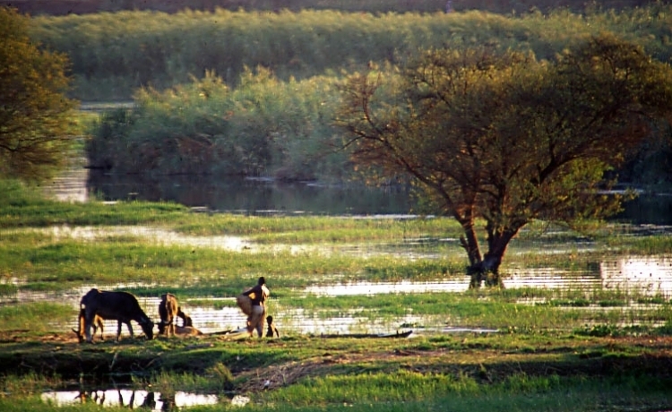 Scene di vita sul Nilo 2