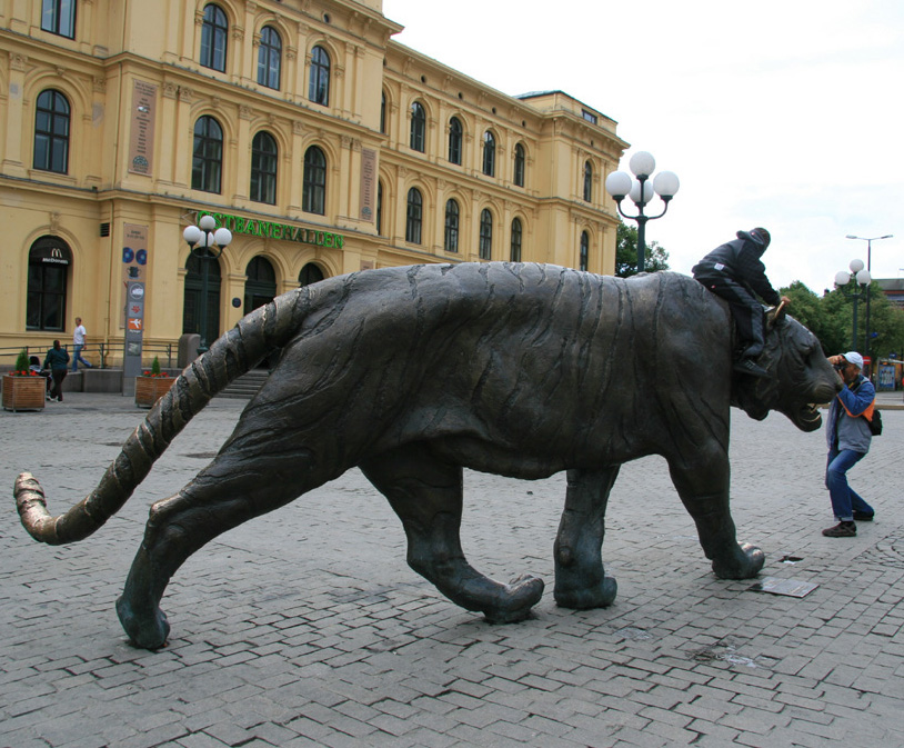 La fotografia sulla tigre