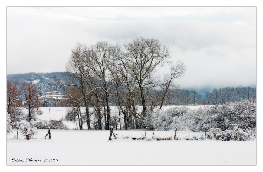 Snow Landscape 9 -  17 novembre 2007