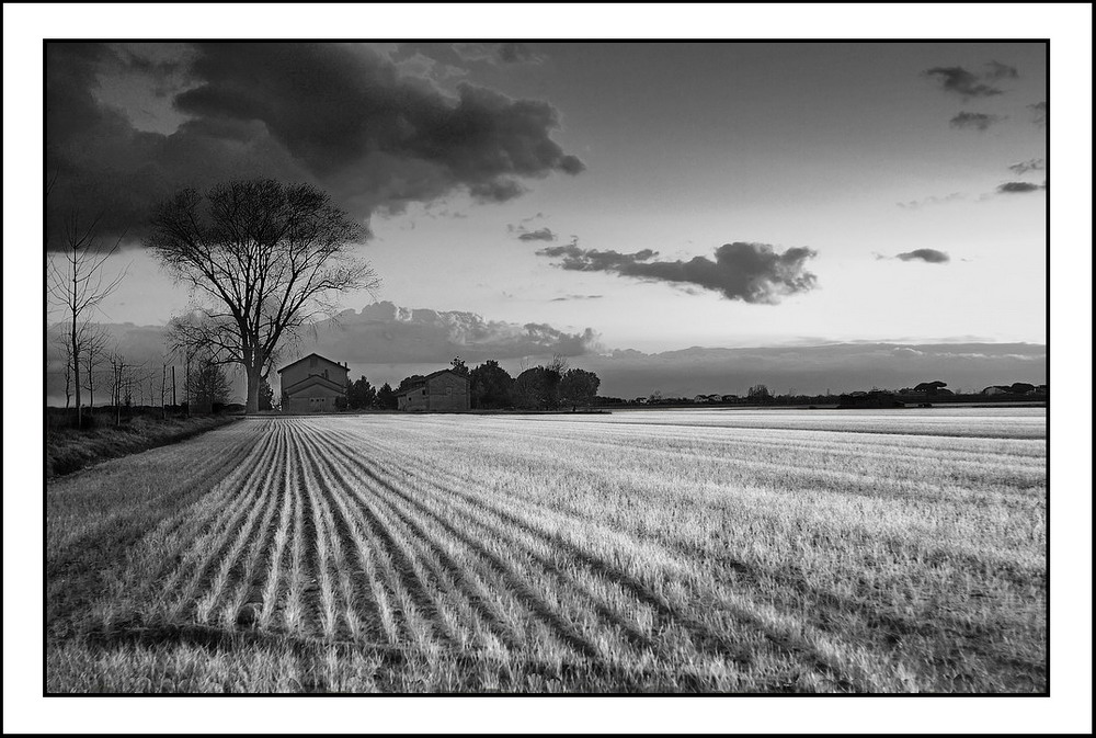 Scende la sera sul grano nuovo...a infrarossi
