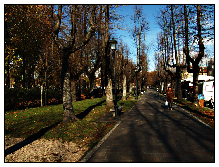 Il Viale del Tramonto... a mezzogiorno