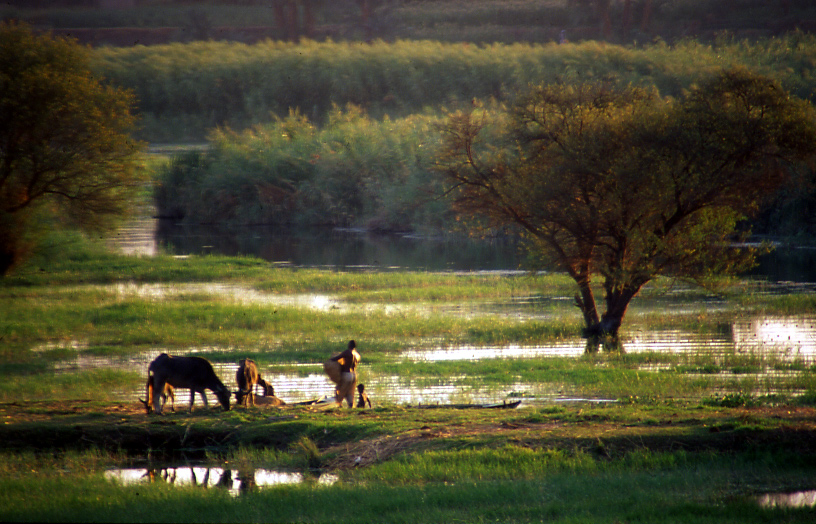 Scenme di vita sul Nilo 2 3 vers