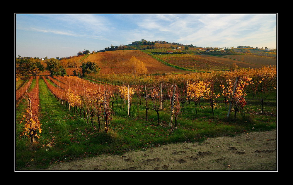 Ultima festa d'autunno...