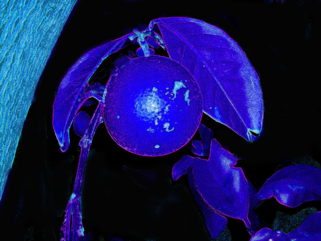 Alla ricerca del Blu - 2 -