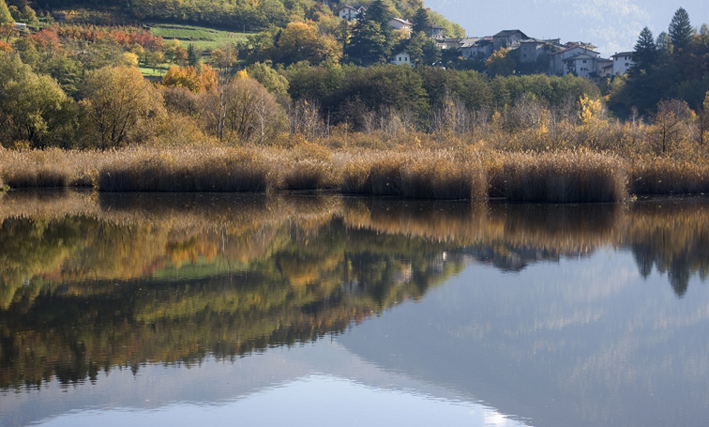 riflessi autunnali