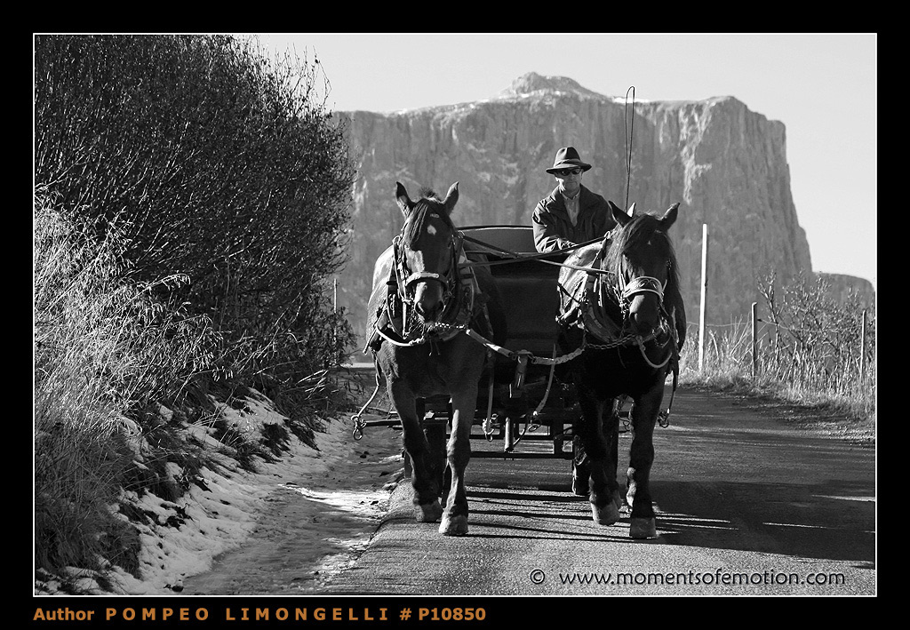 a cavallo sull'Altopiano dello Scilliar