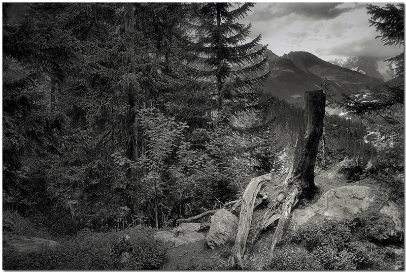 andando per sentieri