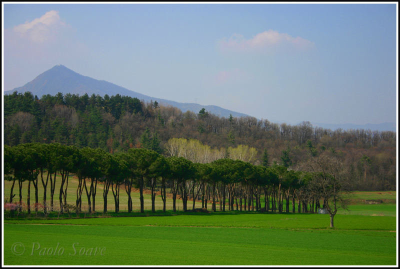 La primavera incalza