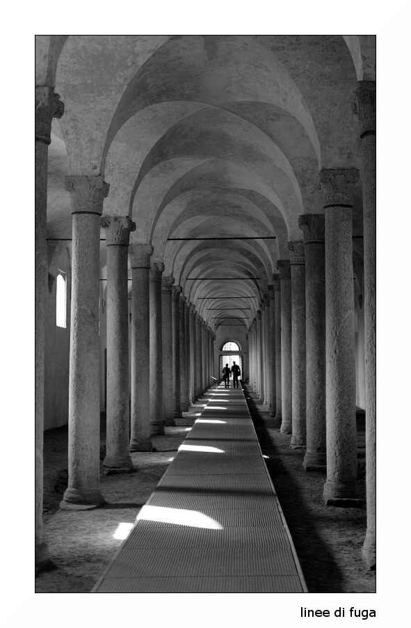 .:. Un *normale* a Vigevano .:.