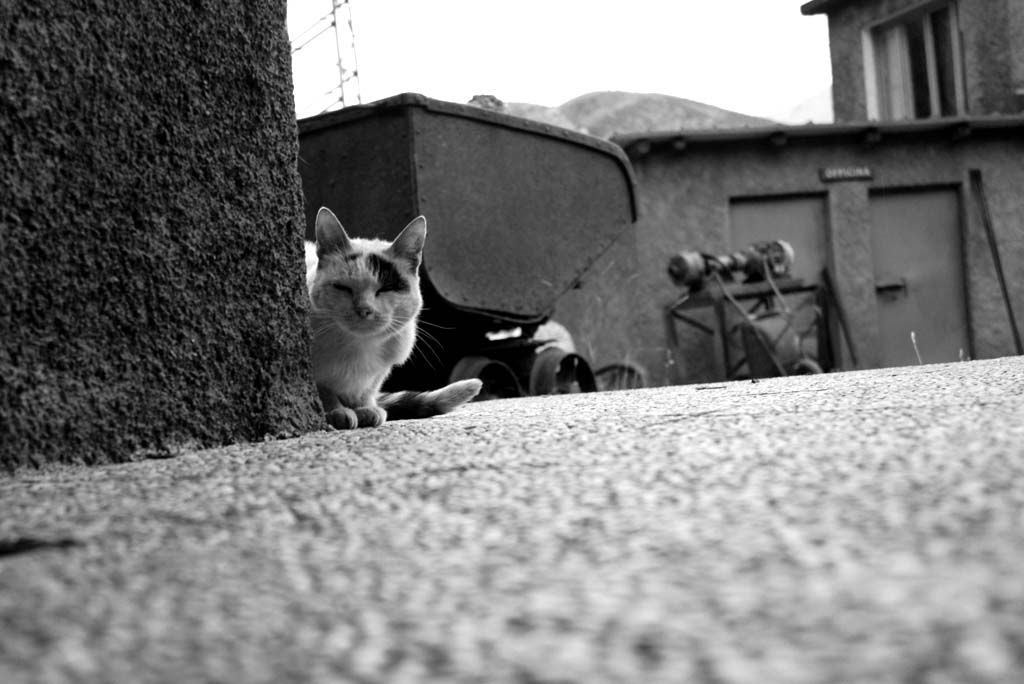 quanto odio i titoli alle foto...