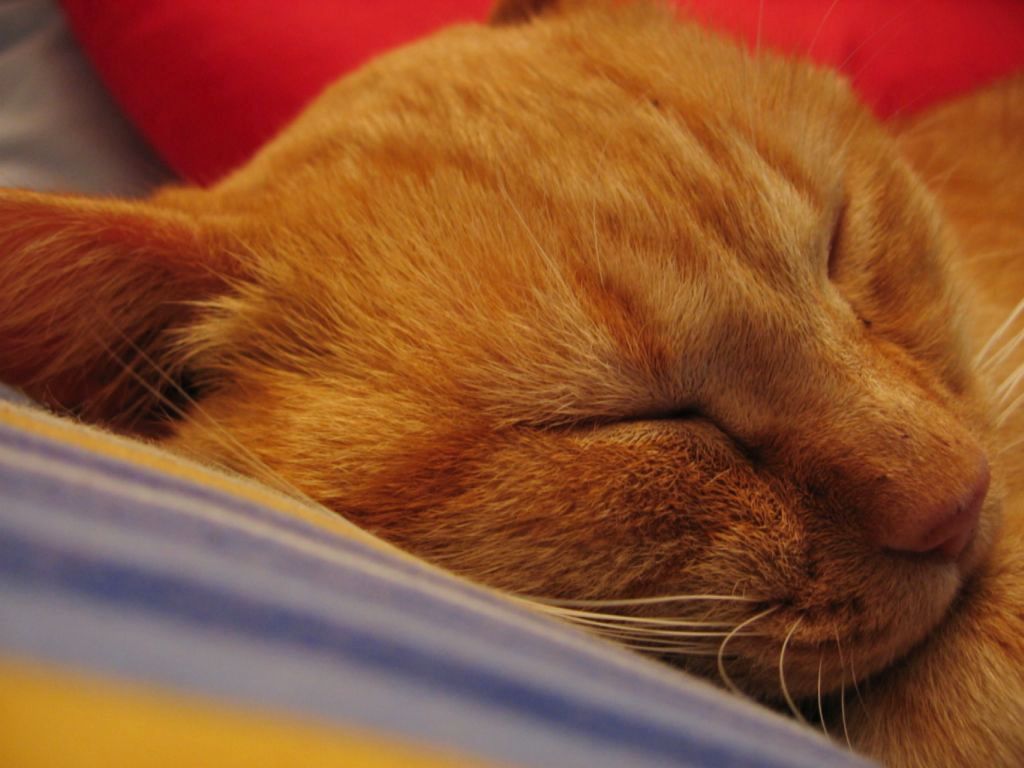 Ma come sto bene qui!!!